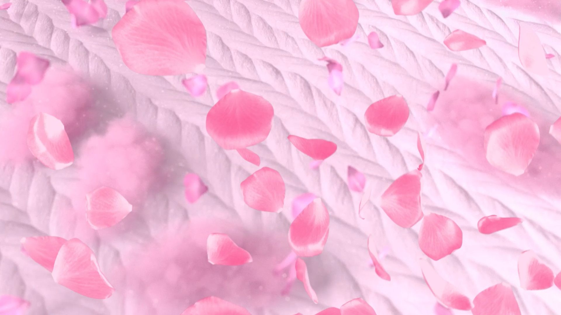 Những cánh hoa màu hồng nhẹ nhàng bay lơ lửng trên nền vải màu hồng.