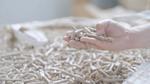 Unilever sử dụng biomass thay cho nhiên liệu hóa thạch