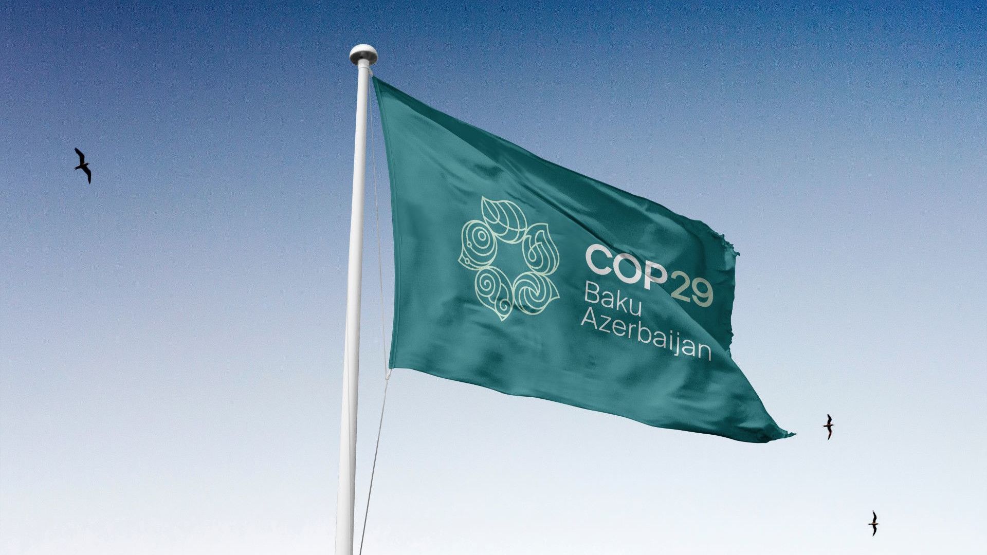 Minh họa cho Hội nghị Liên Hợp Quốc về Biến đổi Khí hậu năm 2024 COP29 Logo Baku Azerbaijan